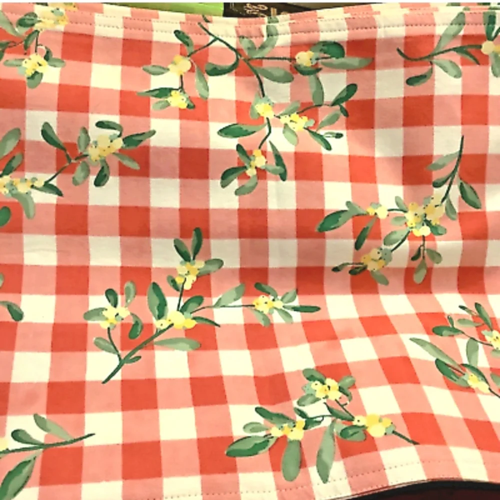 XOCHI Mistltoe Gingham Placemats Set of Two Colors Red White Green Yellow